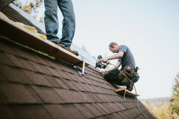 Residential Roof Replacement in Fayette, AL
